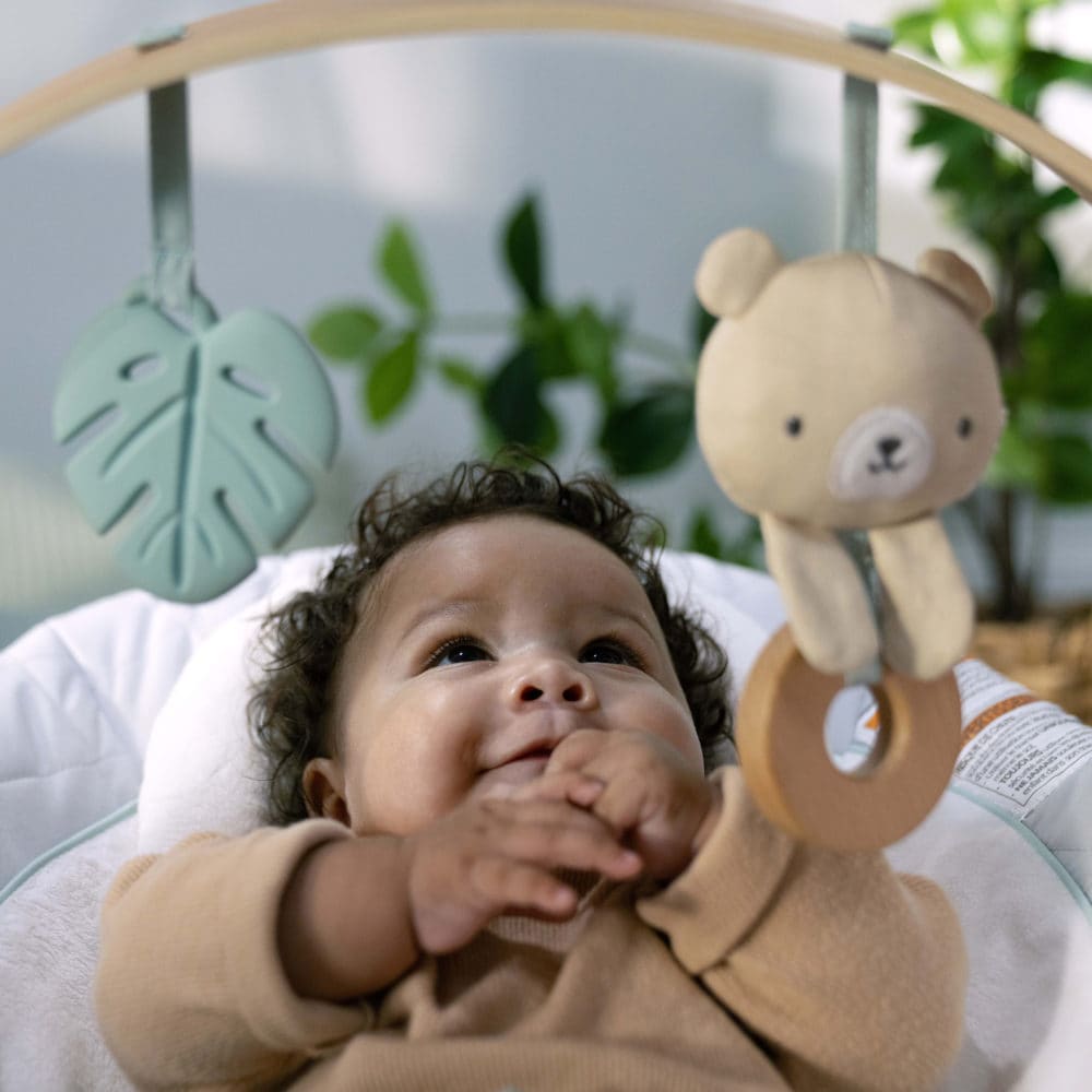 Ingenuity Cozy Spot Bouncer