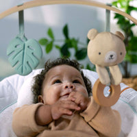 Ingenuity Cozy Spot Bouncer