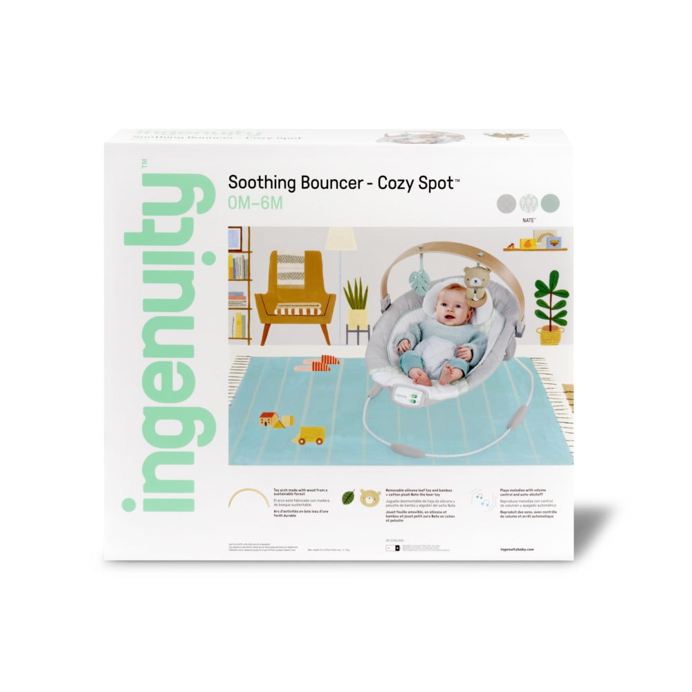 Ingenuity Cozy Spot Bouncer