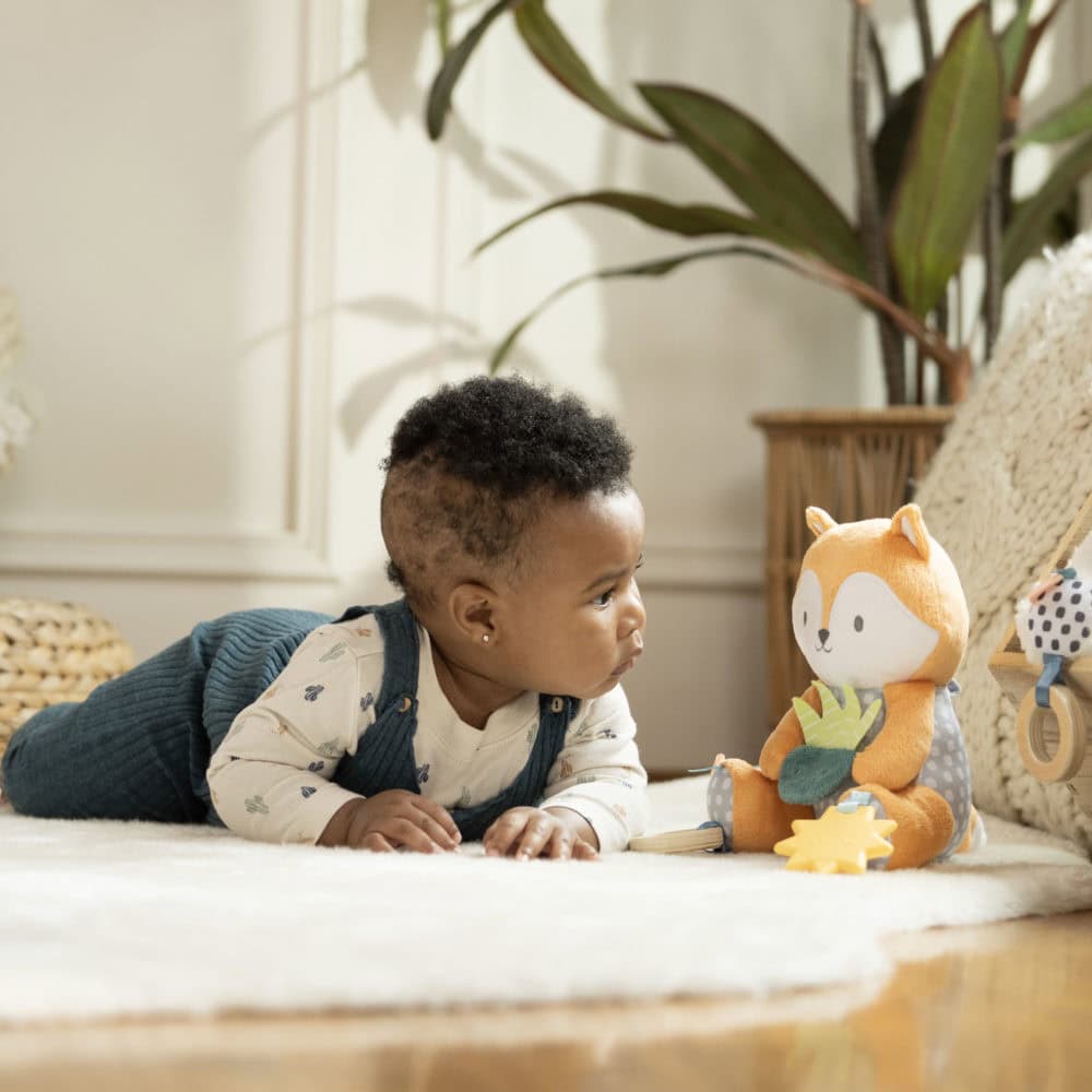 Ingenuity Calm Springs Kitt