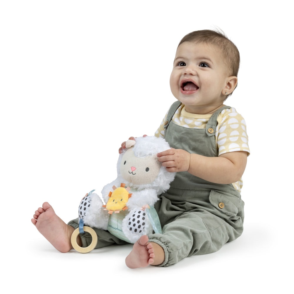 Ingenuity Sheppy the Sheep