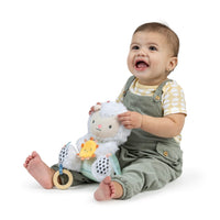 Ingenuity Sheppy the Sheep