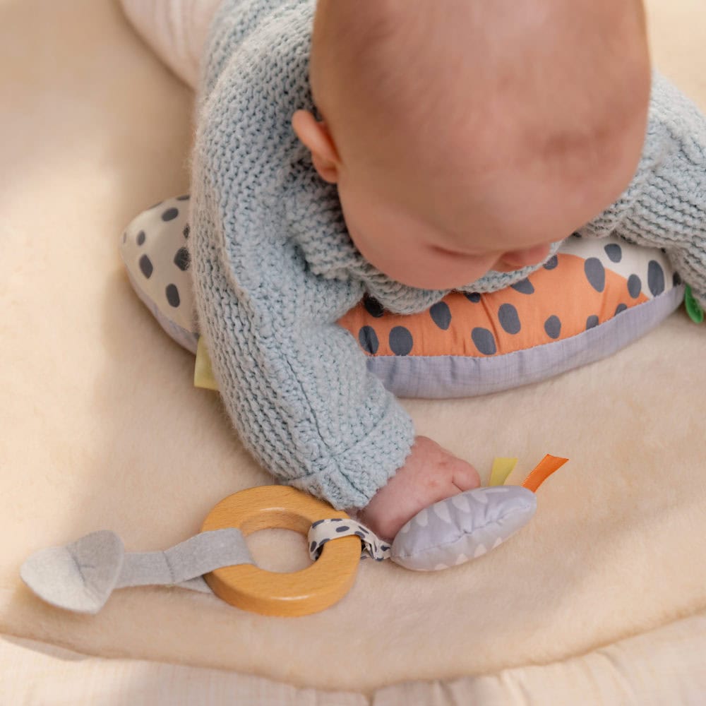 Ingenuity Every Season Lambswool Gym