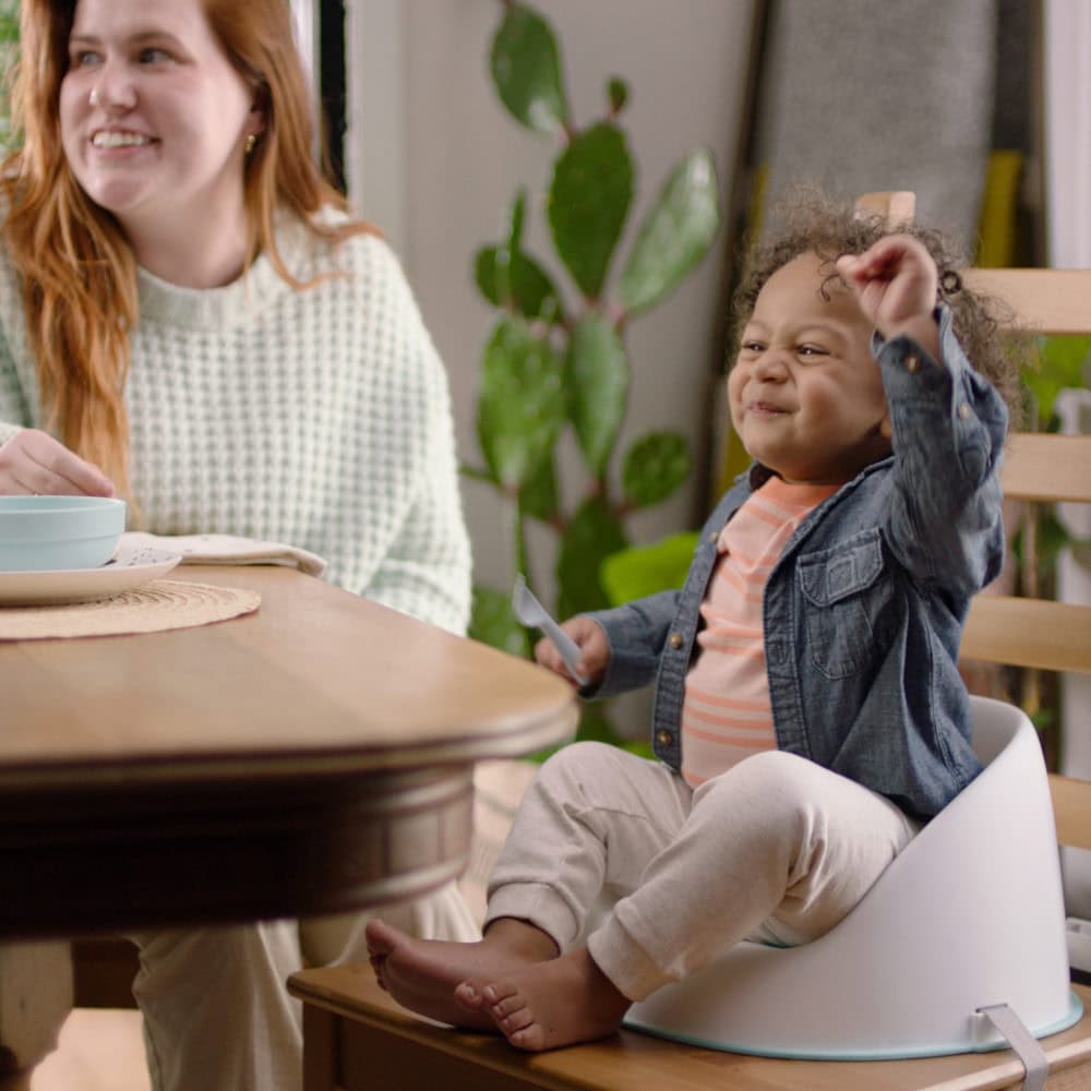 Ingenuity Simplicity Seat Easy-Clean Booster