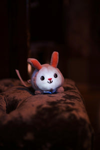 Roll About Pabobo Skakis - Kanin