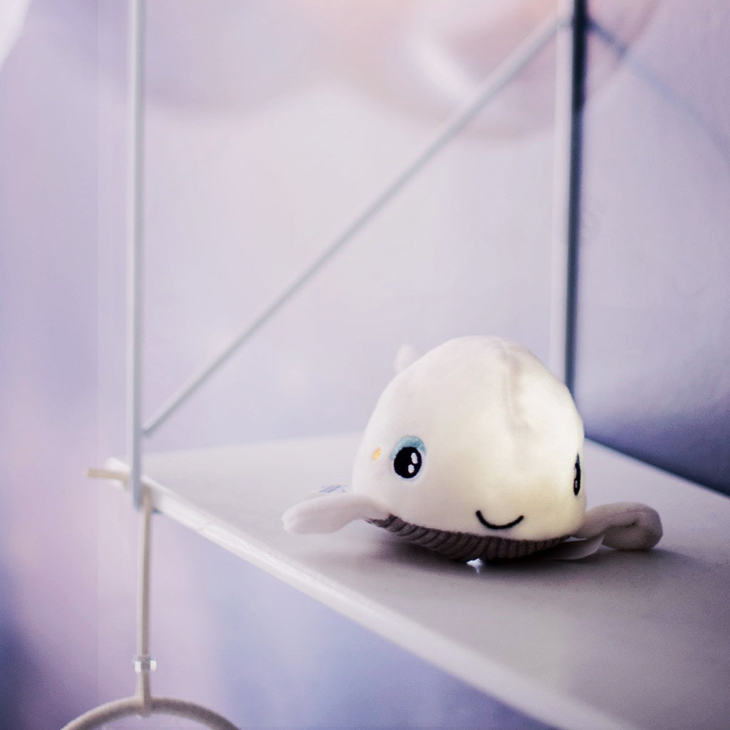 Roll About Pabobo Skakis - Val