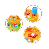 Scandinavian Baby Music Sorting Box