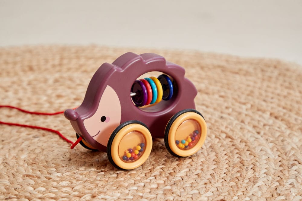 Scandinavian Baby Pull Along Igelkott