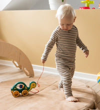 Scandinavian Baby Pull Along Turtle
