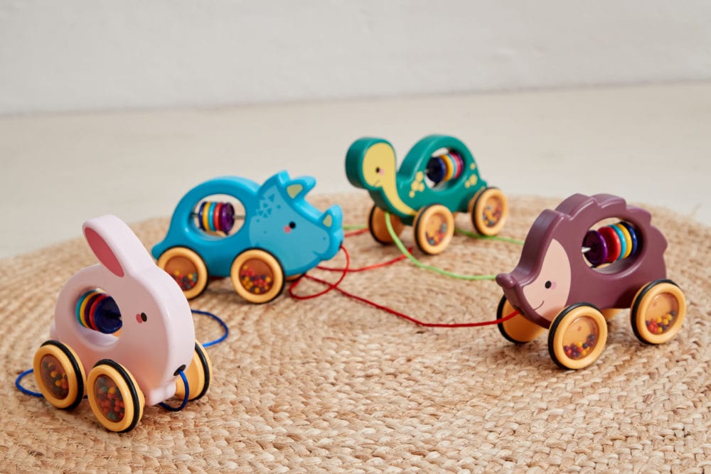 Scandinavian Baby Pull Along Dinosaur