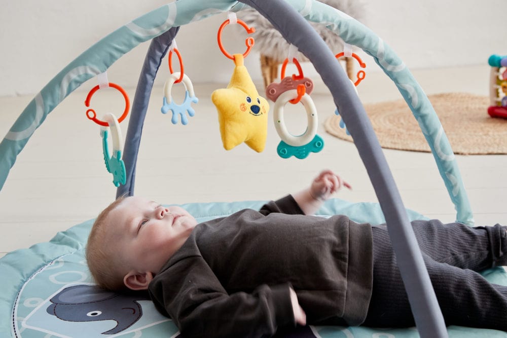 Babygym - Scandinavian Baby Zoo Activity Gym