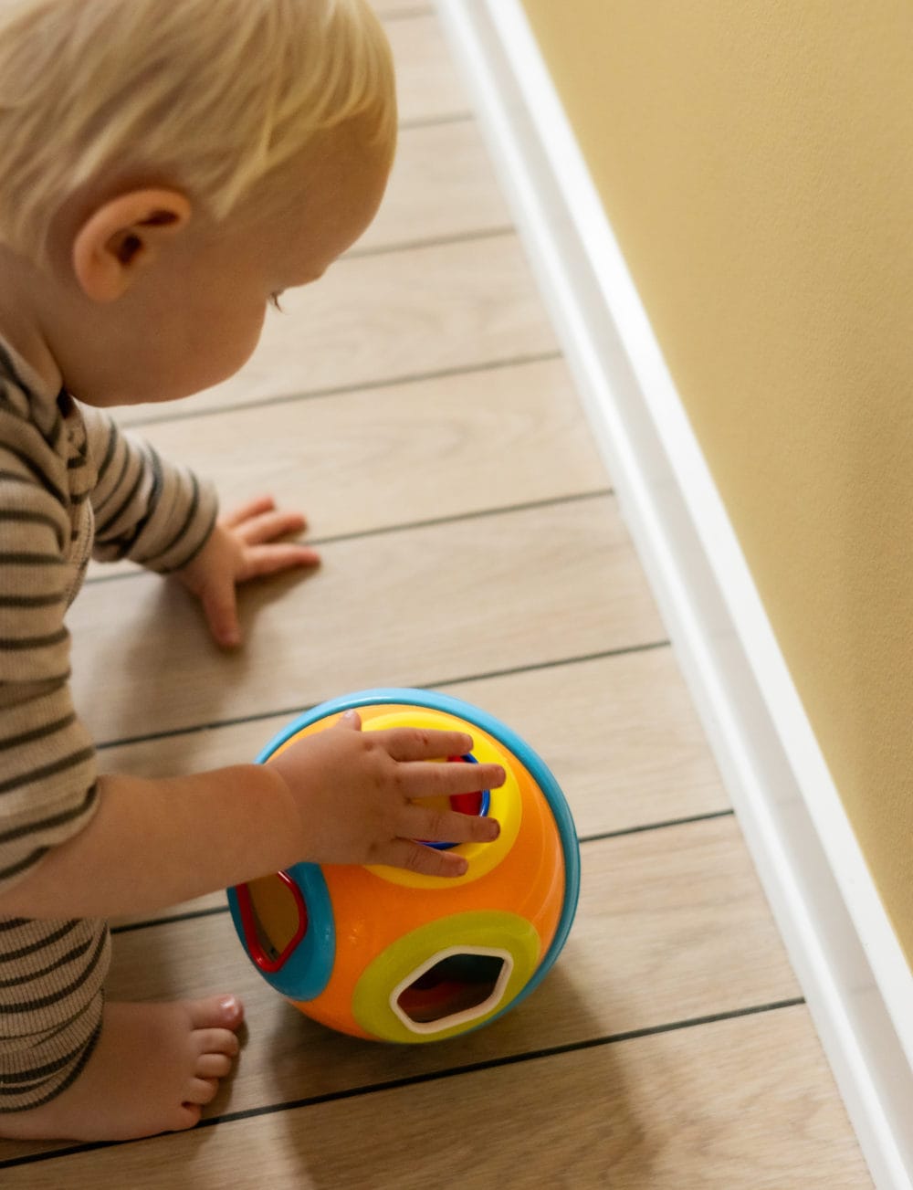 Scandinavian Baby Products Sorting Ball