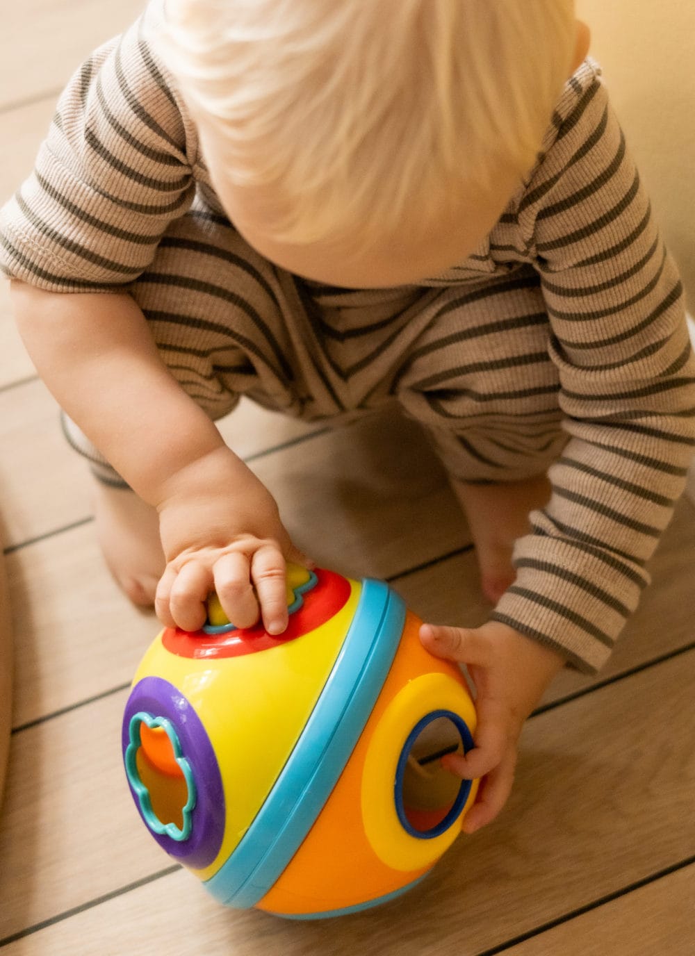 Scandinavian Baby Products Sorting Ball