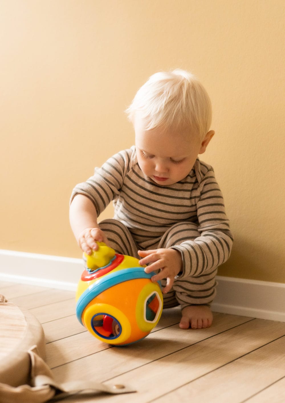 Scandinavian Baby Products Sorting Ball