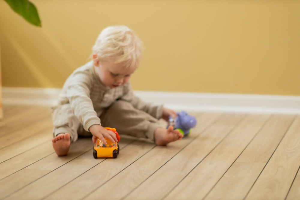 Scandinavian Baby Bouncing Animal Play Car