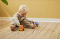 Scandinavian Baby Bouncing Animal Play Car