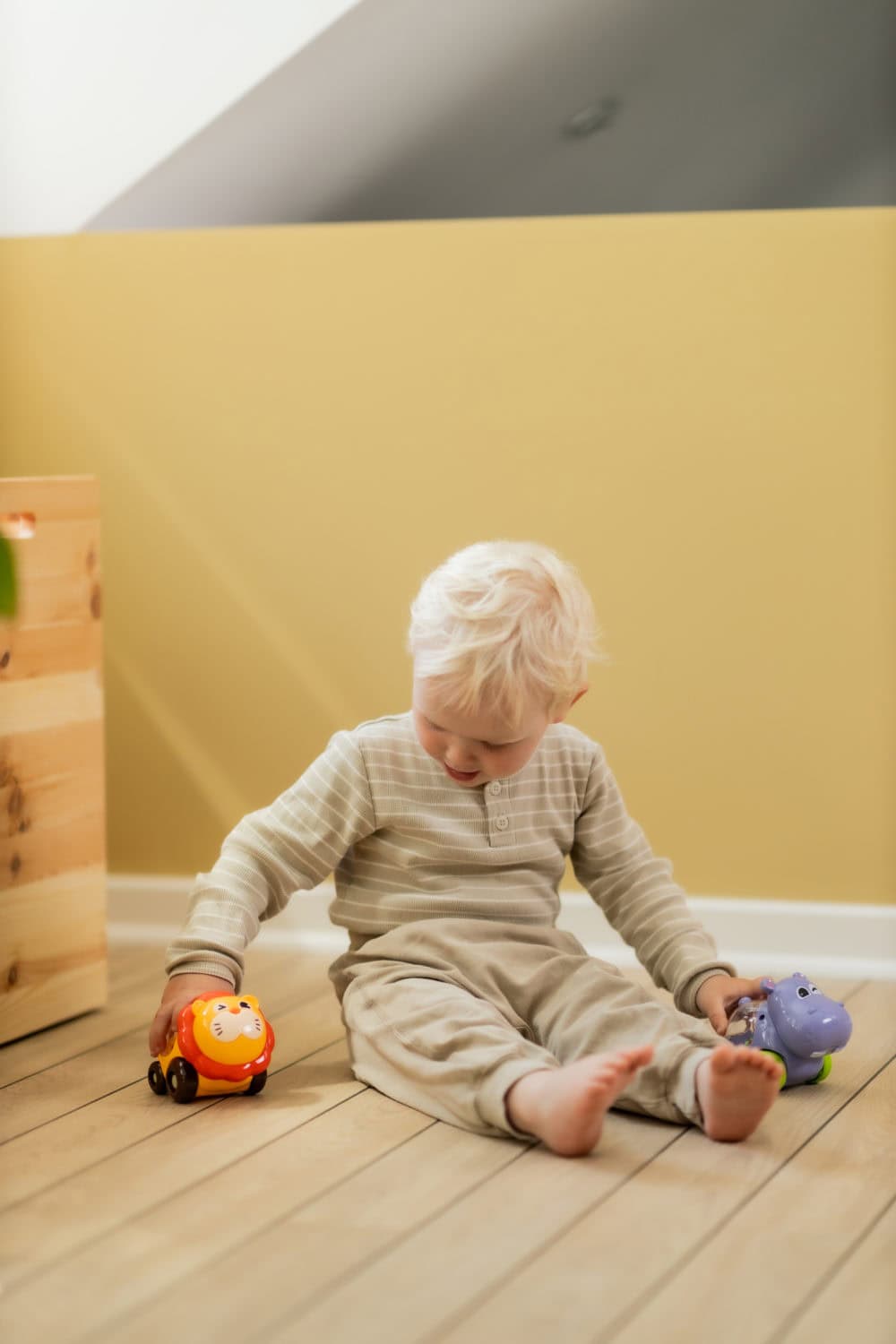 Scandinavian Baby Bouncing Animal Play Car