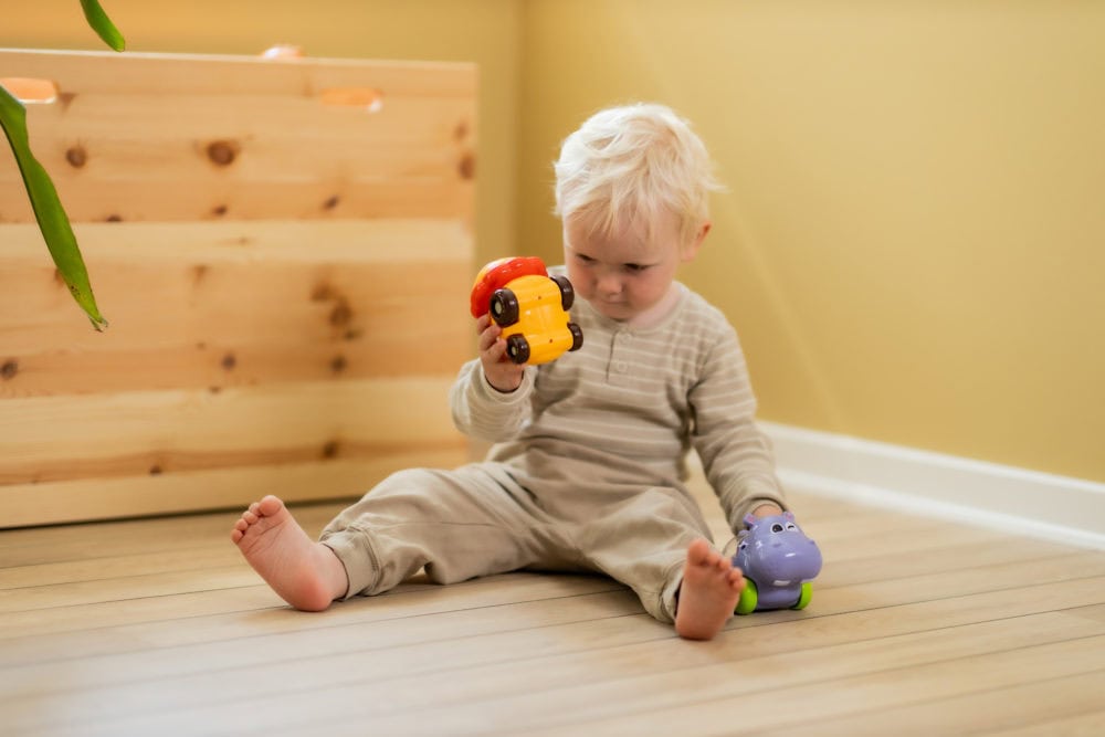 Scandinavian Baby Bouncing Animal Play Car