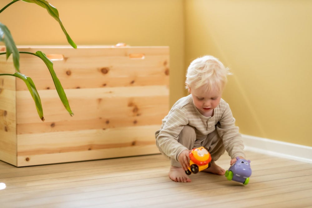 Scandinavian Baby Bouncing Play Car