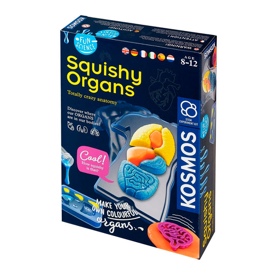 Gross Anatomy (Replacing Squishy Organs) - Science