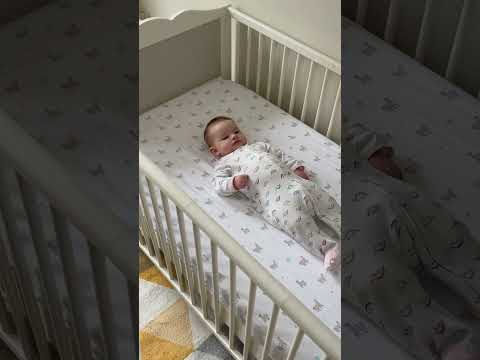 Roll About bblüv Sovpåse Swaddler