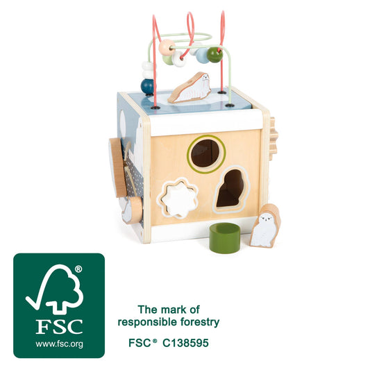 small foot Arctic Motor Skills Cube | Babyleksaker | Trä