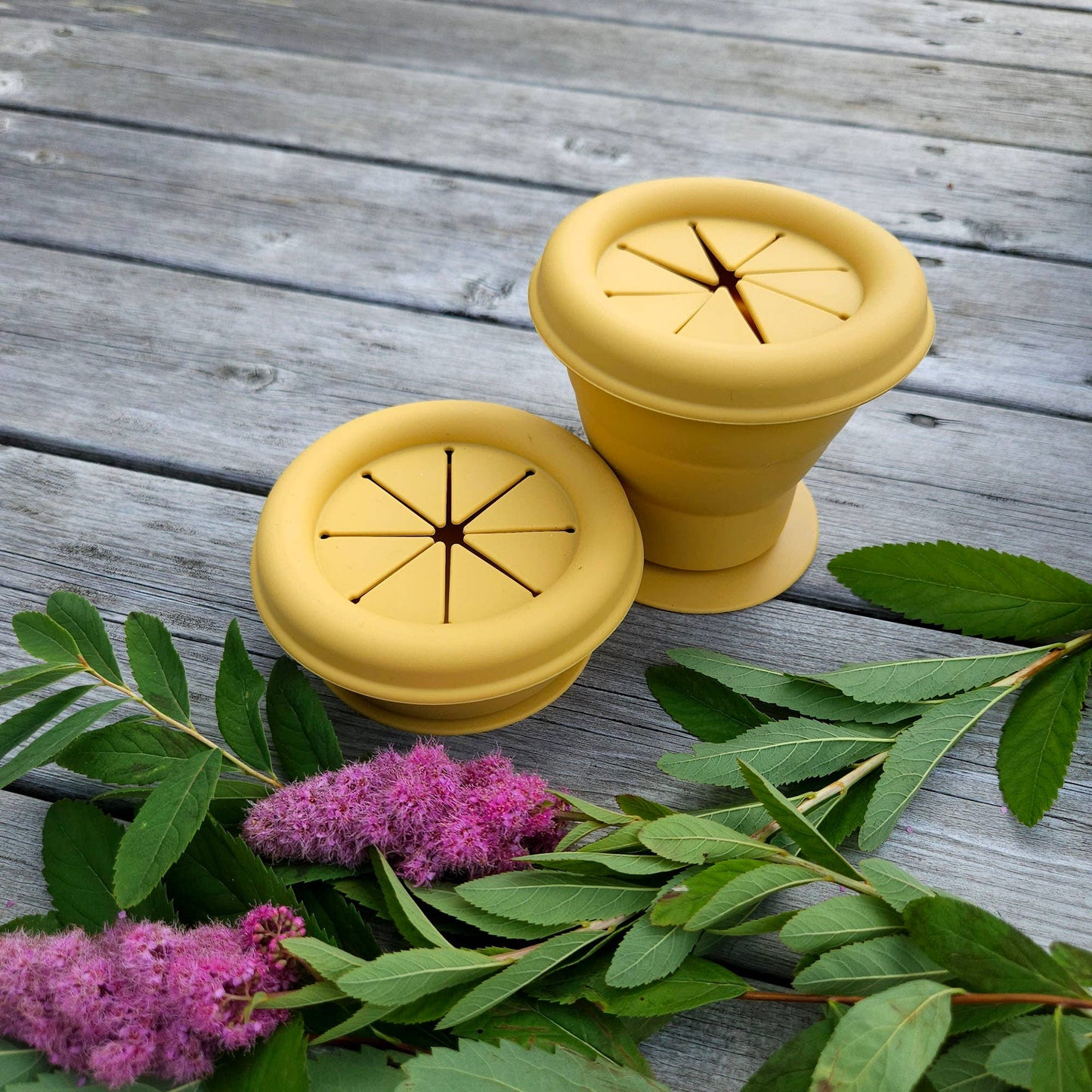 Summerville organic Snackpot silikon ockra