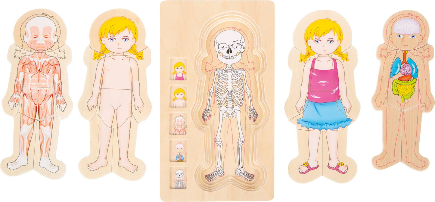 small foot Anatomi Girl Layer Puzzle | Pussel | Trä