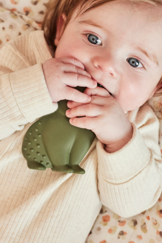 Elio Silicone Teether