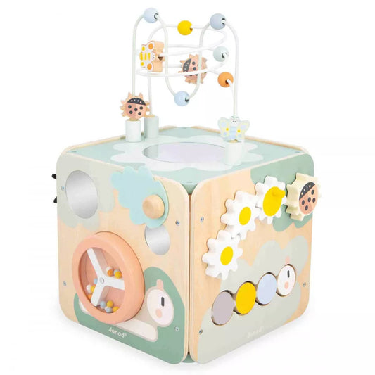 Multi-Activity Maxi Cube