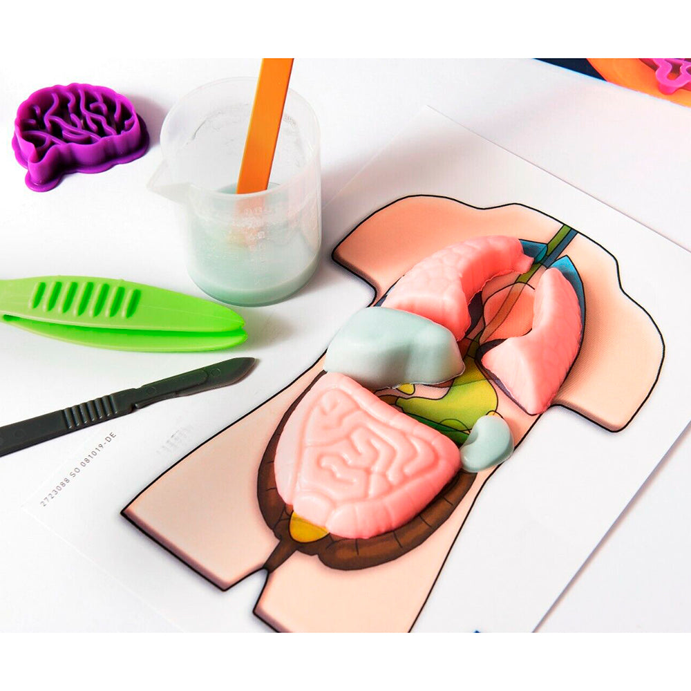 Kosmos - Fun Science - Squichy Organs (EN)